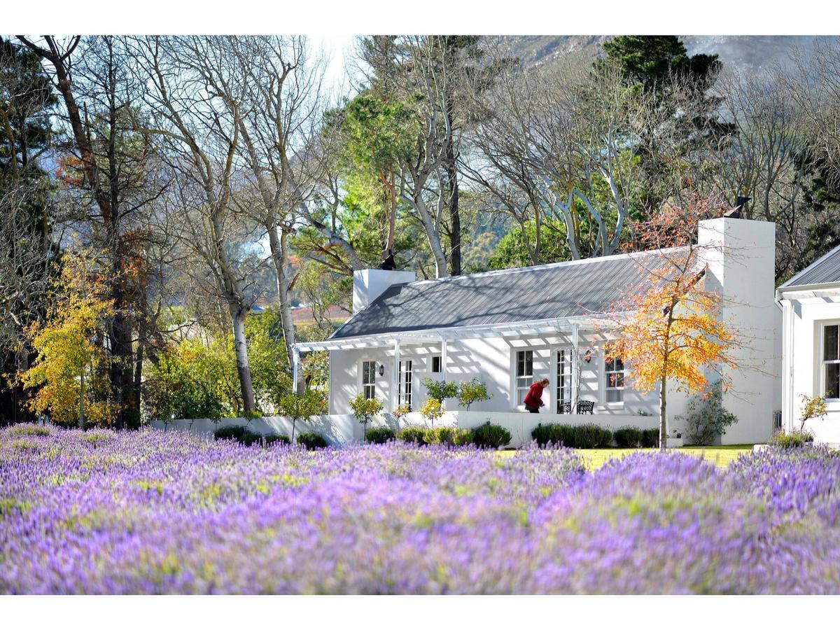 פרנצ'הוק Lavender Farm Guest House מראה חיצוני תמונה