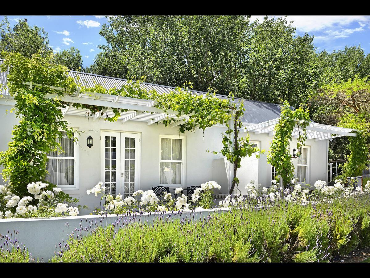 פרנצ'הוק Lavender Farm Guest House מראה חיצוני תמונה