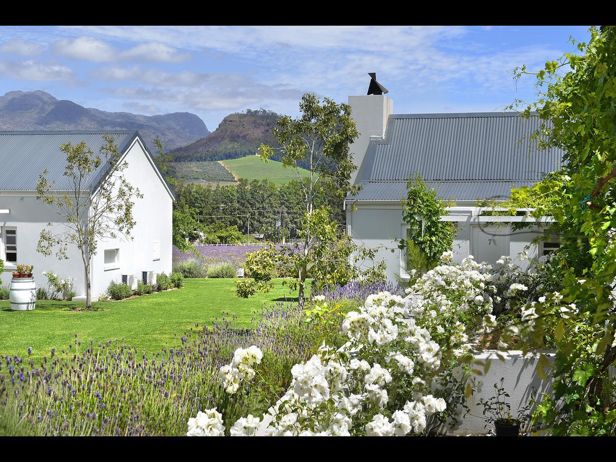 פרנצ'הוק Lavender Farm Guest House מראה חיצוני תמונה