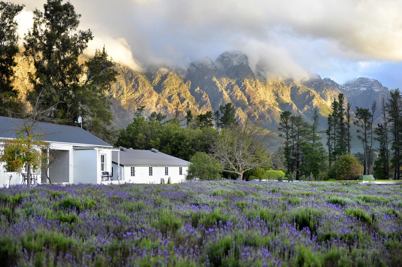 פרנצ'הוק Lavender Farm Guest House מראה חיצוני תמונה